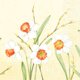 Tissueservett 33 x 33 cm 3-lag Daffodil Joy
