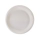 Tallrik bagasse rund 22cm